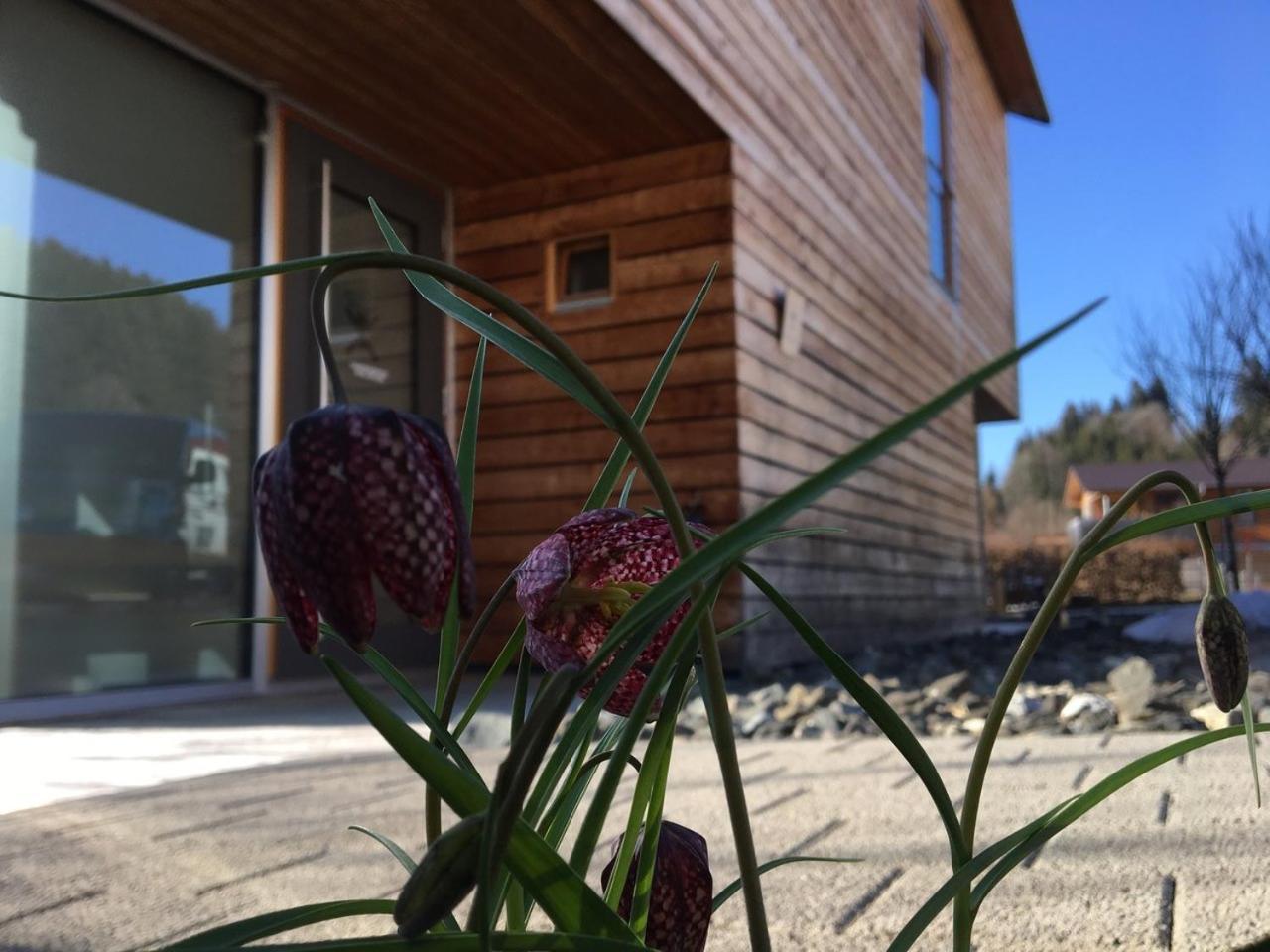 Gästewohnung zum Atelier Immenstadt im Allgäu Exterior foto
